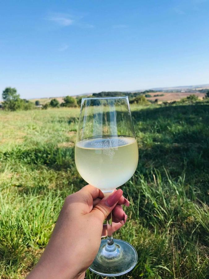 Apartmany Vinarstvi Klucov Lstibor Zewnętrze zdjęcie